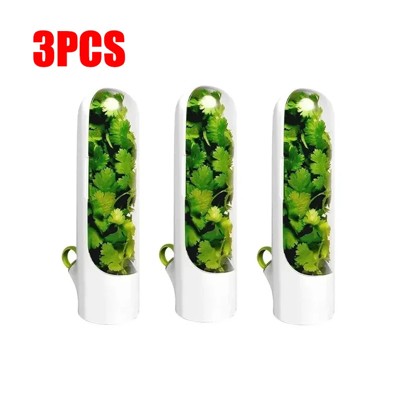 Refrigerator Herb Crisper Saver Container