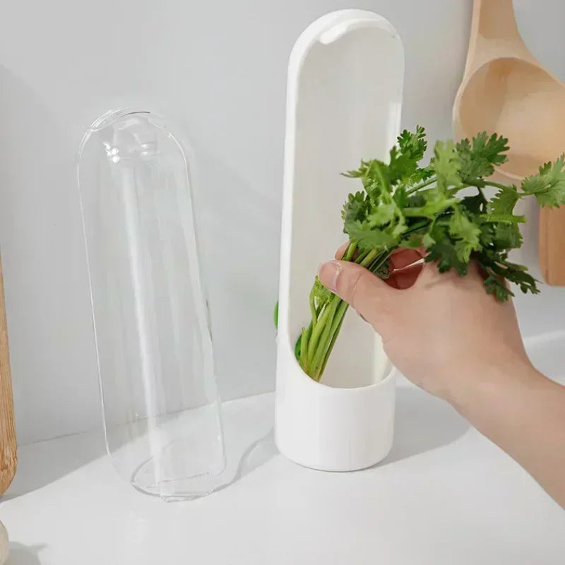 Refrigerator Herb Crisper Saver Container