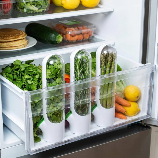 Refrigerator Herb Crisper Saver Container